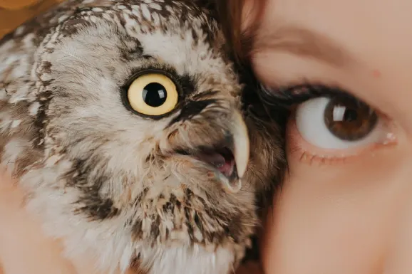 Betitall Kazino Pagalba